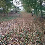 Nordborg Hejnsvi Hejnsvig