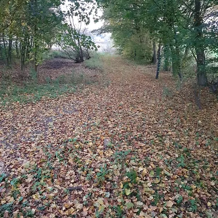 Nordborg Hejnsvi Hejnsvig