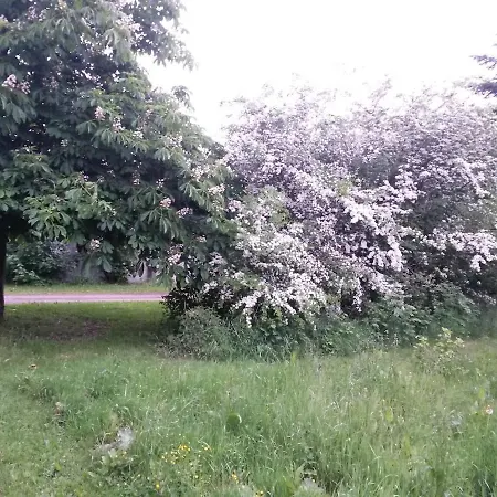 Apartamento Nordborg Hejnsvi *