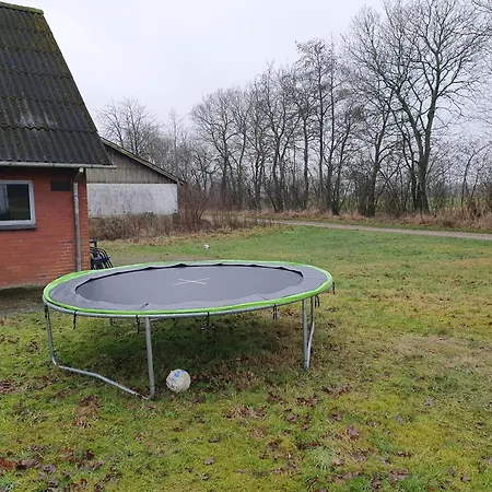 Nordborg Hejnsvi *