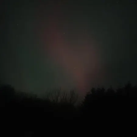 Nordborg Hejnsvi * Hejnsvig